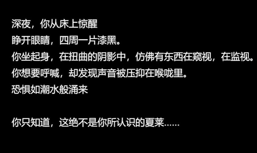 沙勒的五夜后宫2正式版图1