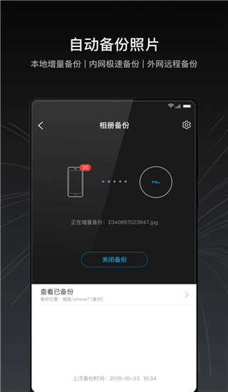 猫盘图3