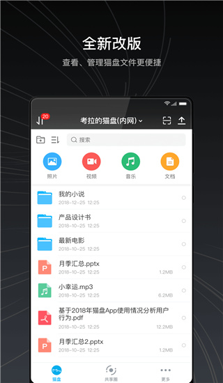 猫盘图2