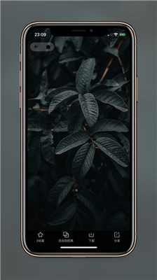 纸塘壁纸vip版图1