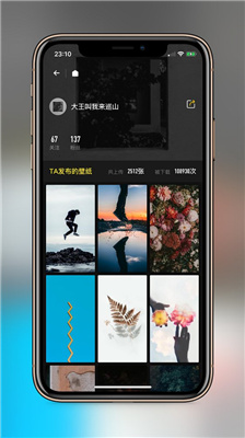 纸塘壁纸vip版图3