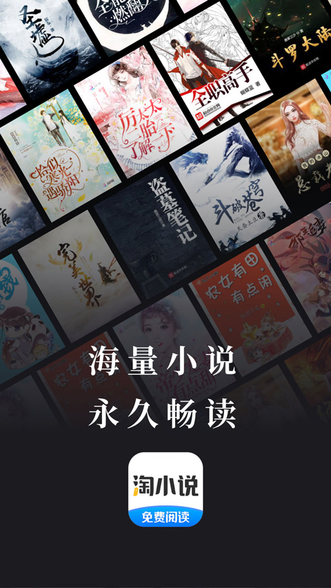 淘小说赚钱版图1