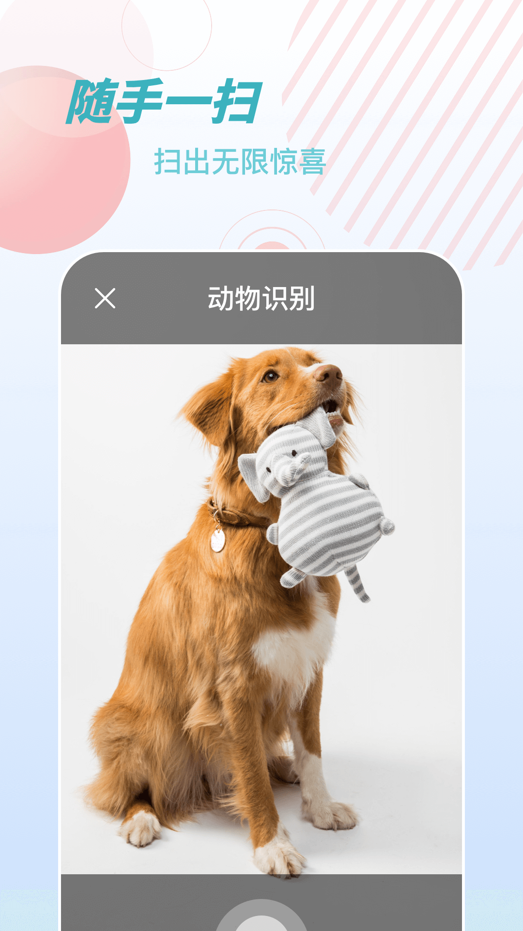 物品识别师图2
