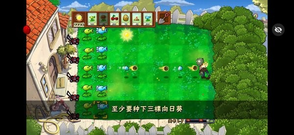 植物大战僵尸活死人之园废稿版图3