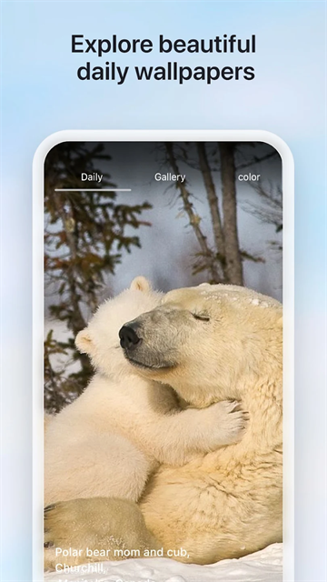 bing浏览器图2