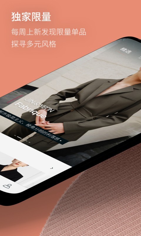 Fabrique图2
