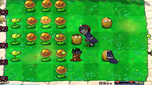 pvz火影版图2