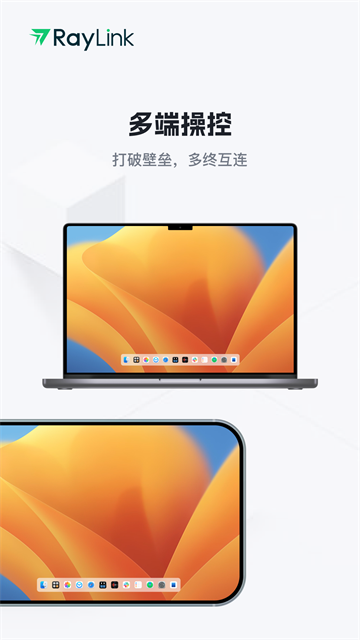 RayLink图4