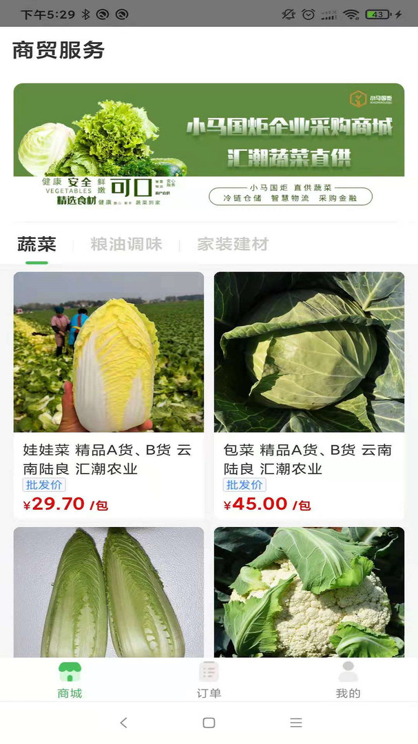 小马鲜鲜图1