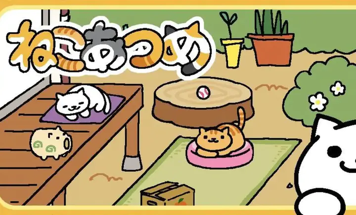 猫咪后院2图1