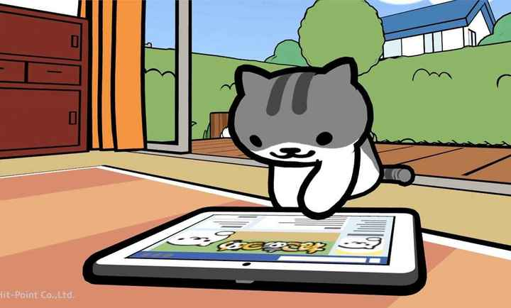 猫咪后院2图2