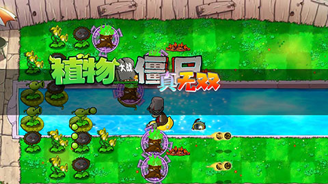 植物大战僵尸真无双版图1