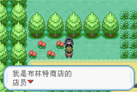口袋妖怪火红汉化版图2