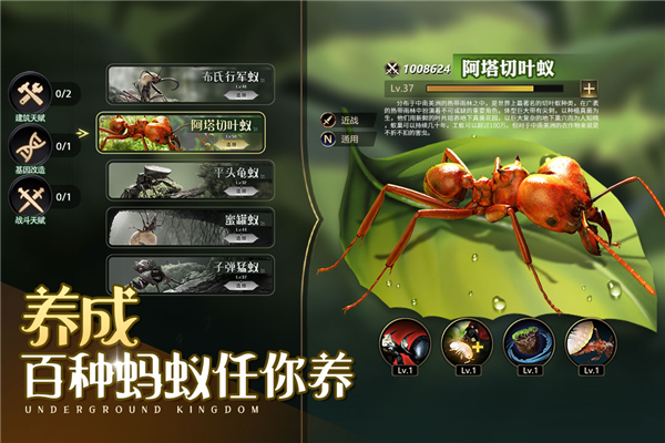 小小蚁国游戏图3