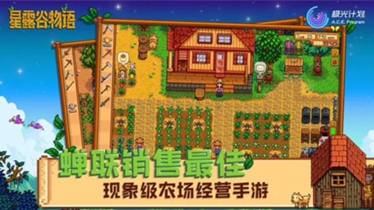 星露谷物语自带美化包图4