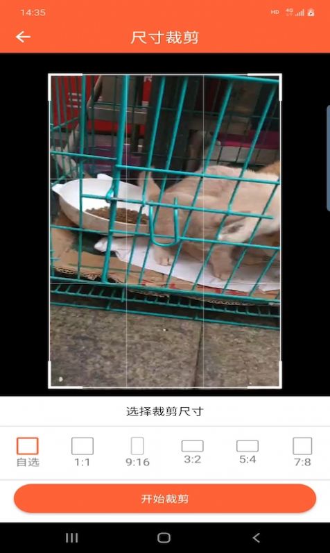 鸿翔水印图2