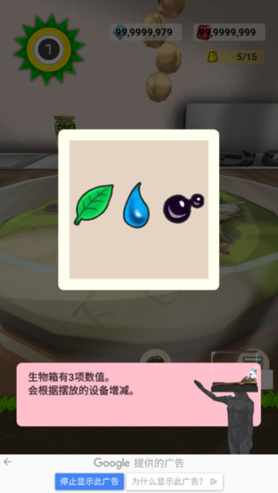 罕见生物的水族箱图3