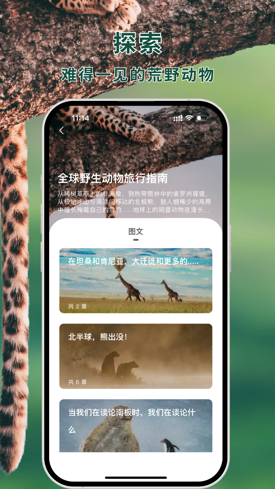 熊猫客图4
