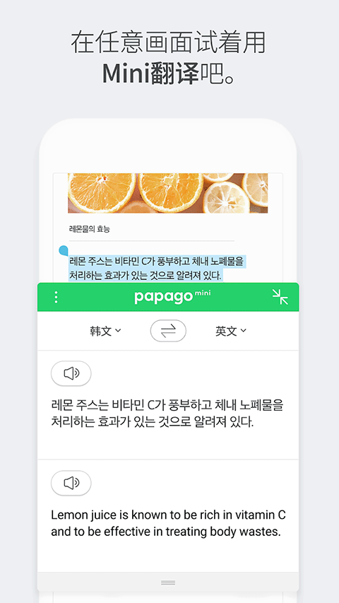 papago翻译器图5
