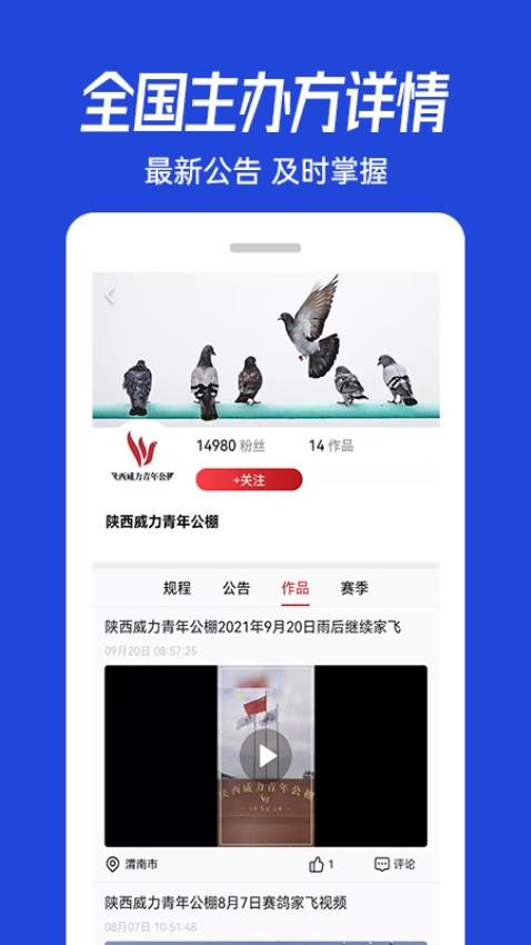 青鸽网图3