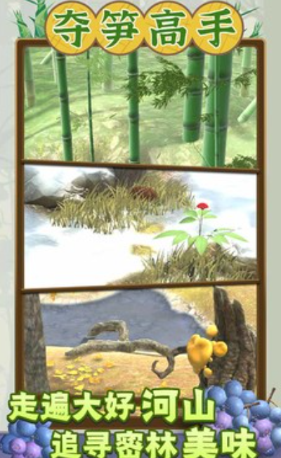 夺笋高手图3