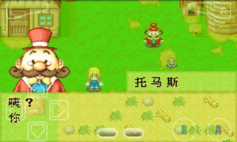 牧场物语女孩版图1