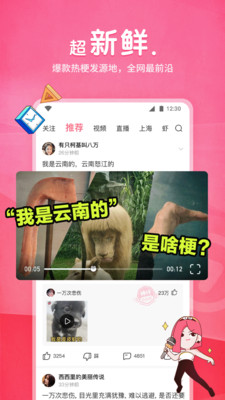 皮皮虾图3