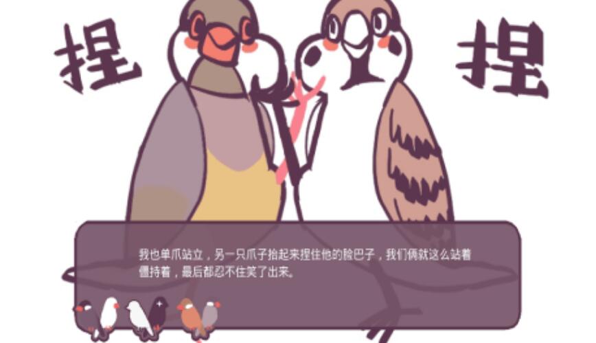 咕啾文鸟恋爱物语图3