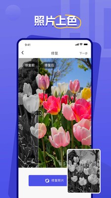 画质修复图1
