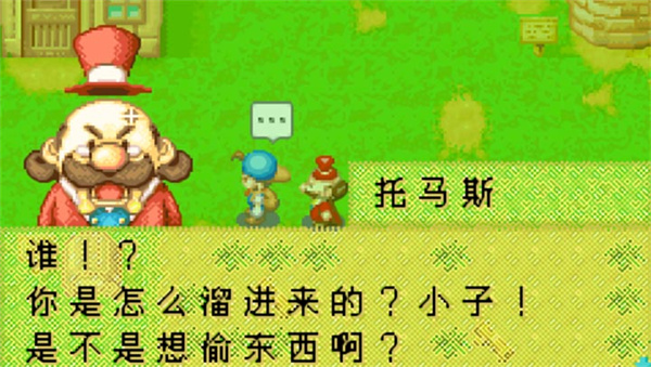 牧场物语矿石镇的伙伴们图1
