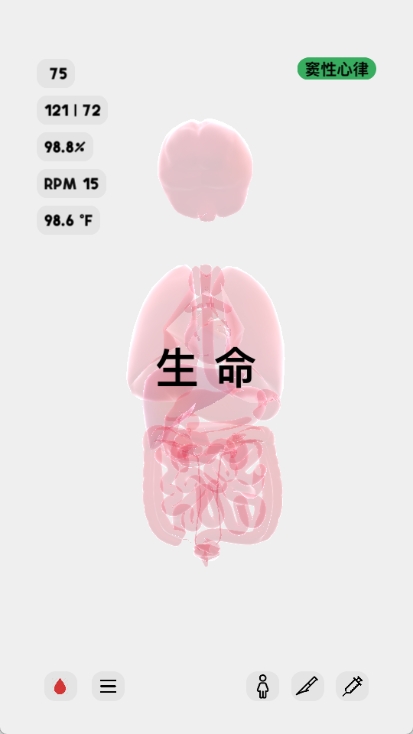 life图4