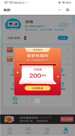 罗汉小说图1