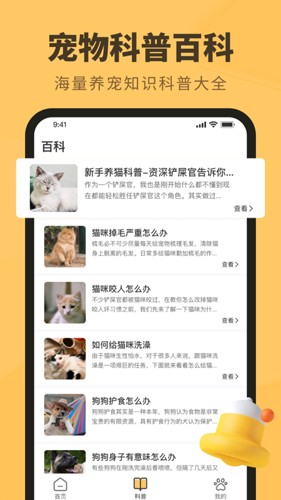 宠本本图2