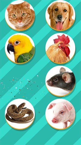 动物翻译器中文版图1