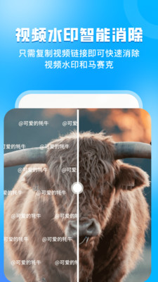 指尖虚拟摄像头图2
