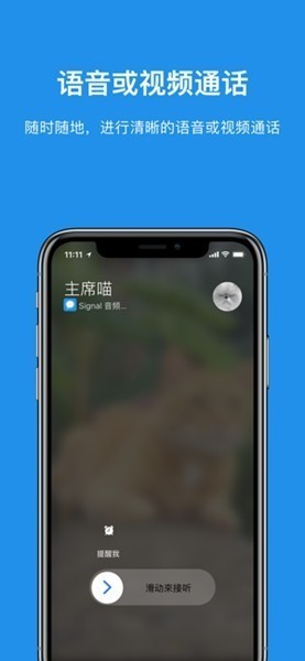 信号Signal图2