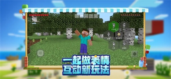 Minecraft基岩版图5