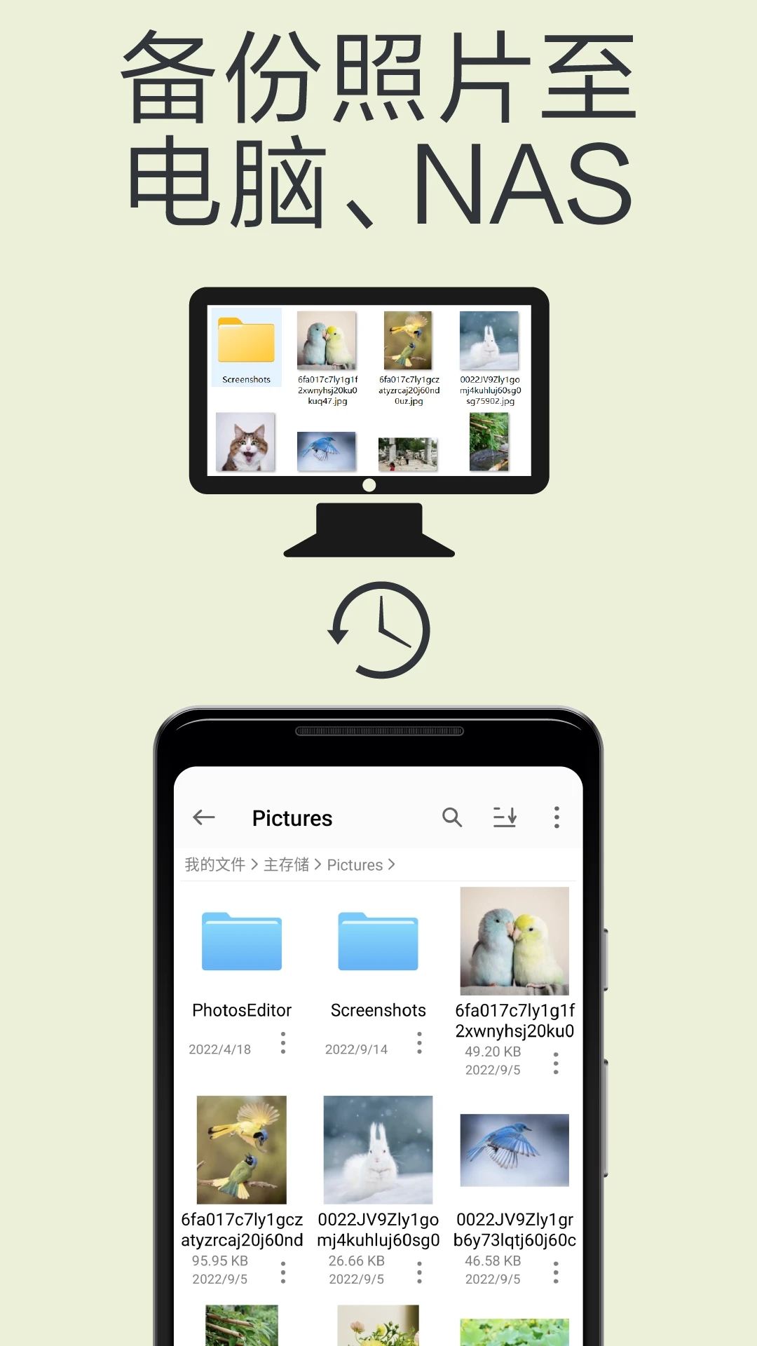 猫头鹰文件图2