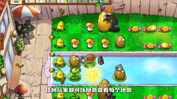 植物大战僵尸生态版图1