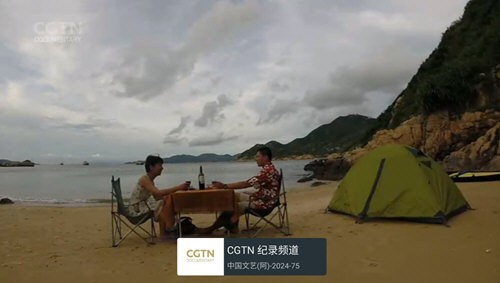 随风电视图4