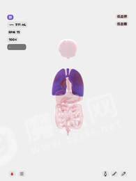 life生命模拟器汉化版图3
