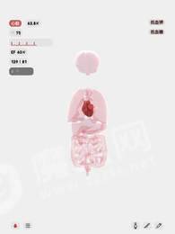 life生命模拟器汉化版图2