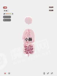 life生命模拟器汉化版图1