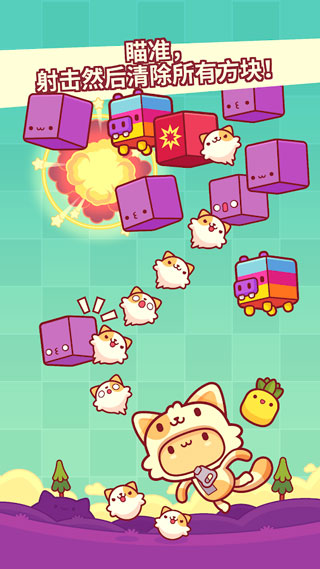 皮皮猫图2