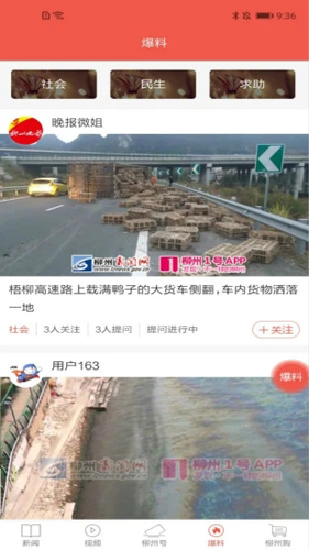 柳州1号图1
