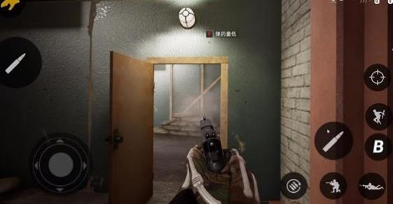 COD19自制版图2