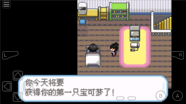 口袋妖怪蓝星4汉化版图3