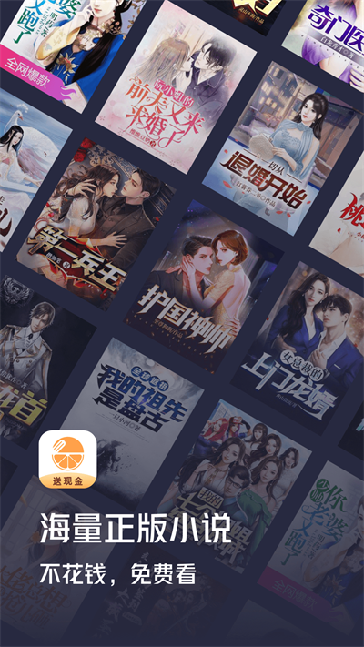 青橙小说赚钱版图4