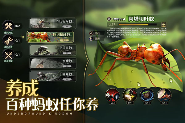 小小蚁国37版本图3
