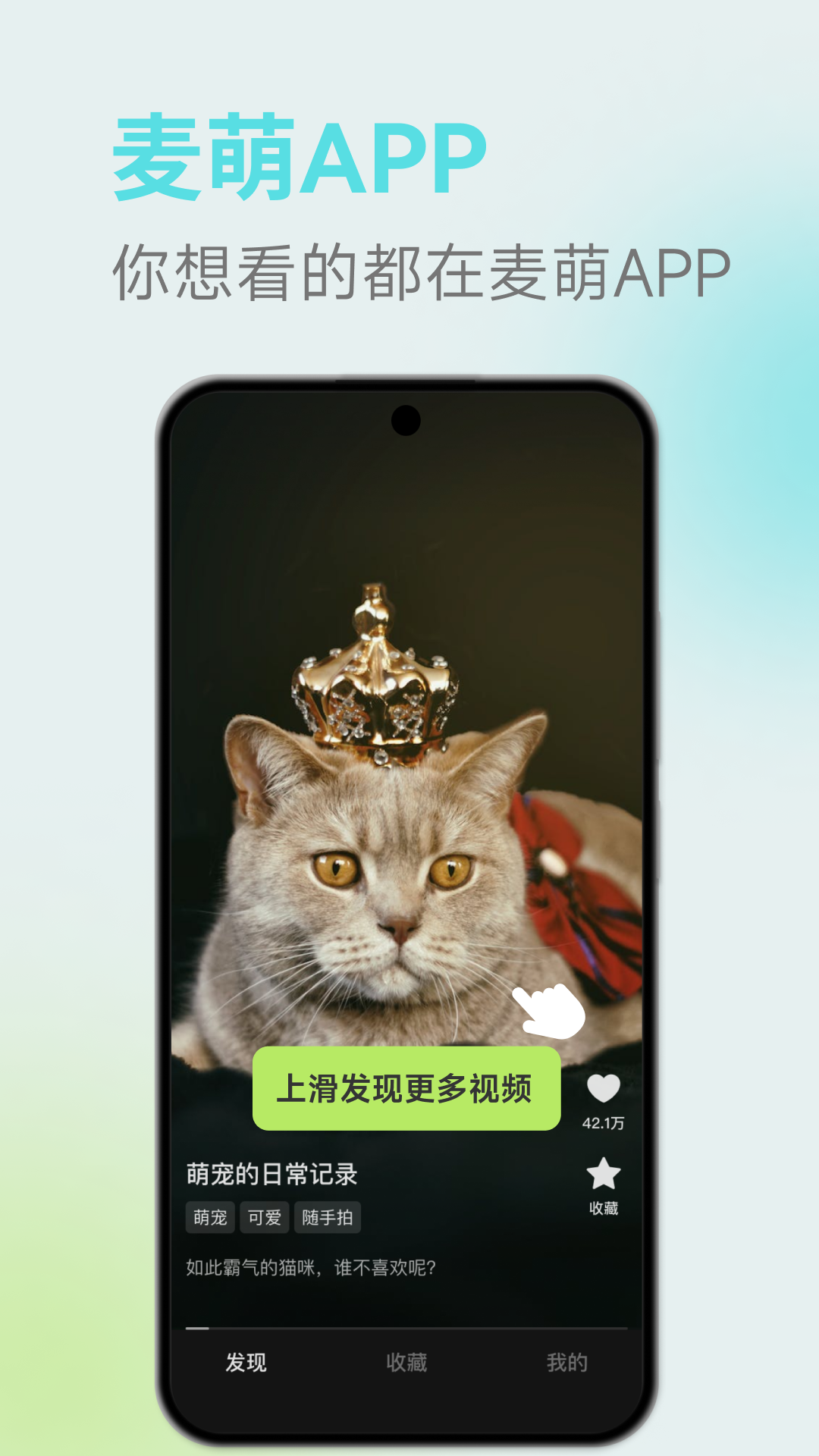 麦萌短剧图4